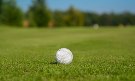 The Best 12 Golf Balls to Buy in 2019