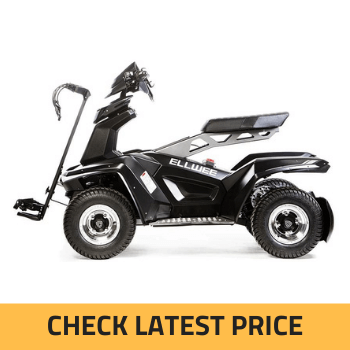 Ellwee Electric Golf Cart Review