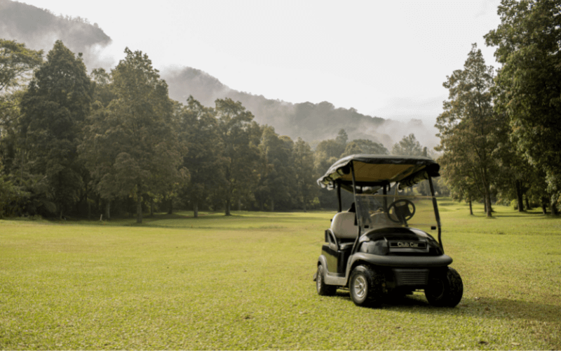 Best Electric Golf Cart