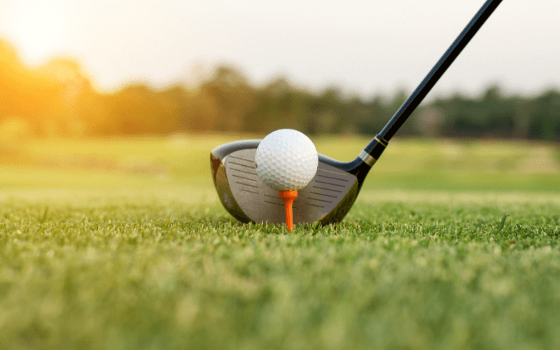 Best Fairway Woods For Seniors