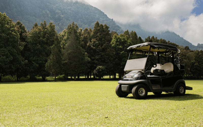 best golf cart