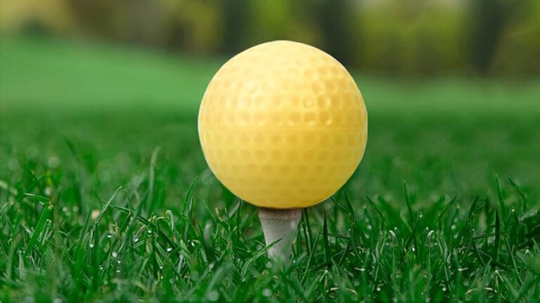 Golf ball dimple