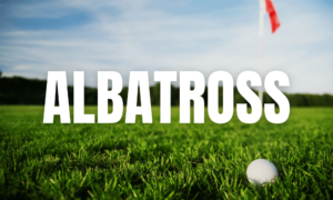 Albatross in Golf: The Shot Even Tiger Woods Couldn't Make