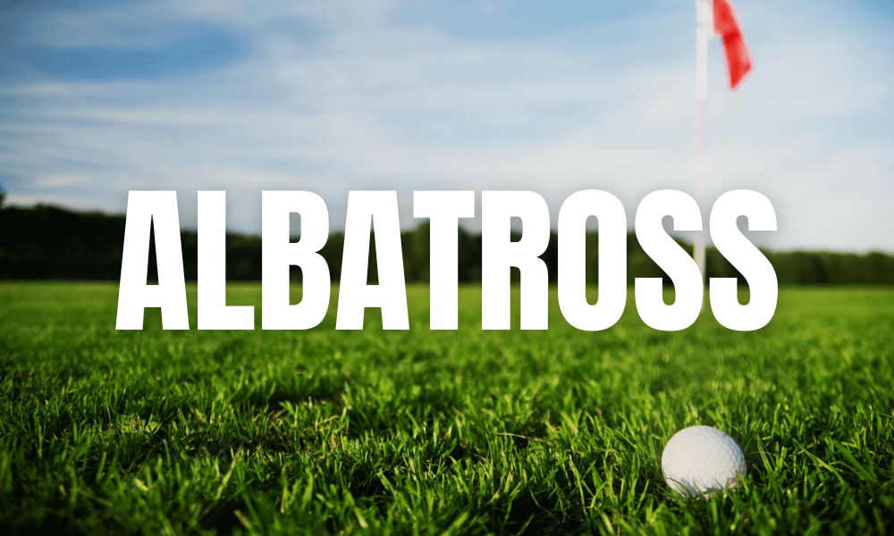 Albatross In Golf
