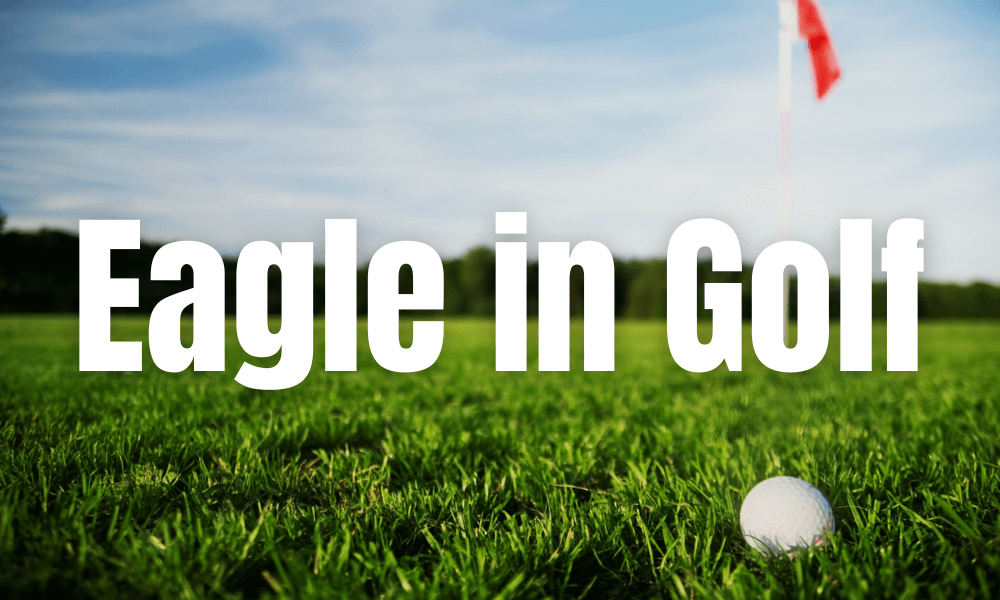 Eagle in Golf